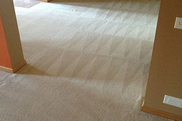 carpet cleaning before and after